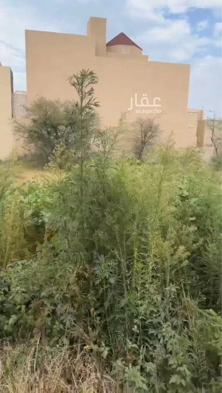أرض للبيع في شارع ملاحة, حي الروضة, مدينة أبها, منطقة عسير صورة 5