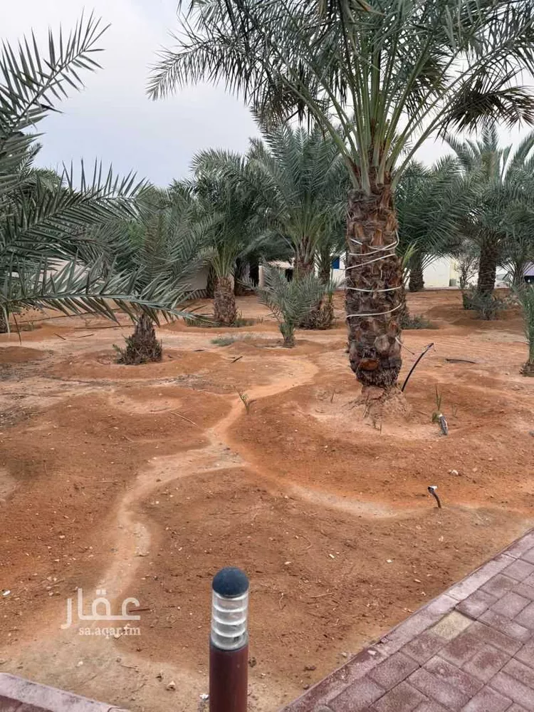 أرض للبيع في شارع أبي الفضل الهاشمي, حي البيان, مدينة الرياض, منطقة الرياض صورة 3