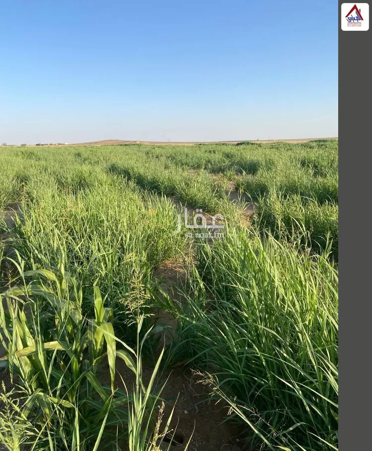 مزرعة للبيع في شارع محمد, حي الاشيعل, مدينة الاشيعل, منطقة القصيم صورة 5