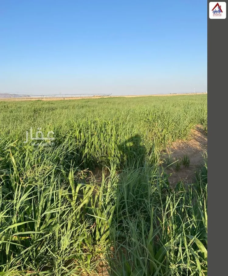 مزرعة للبيع في شارع محمد, حي الاشيعل, مدينة الاشيعل, منطقة القصيم 6