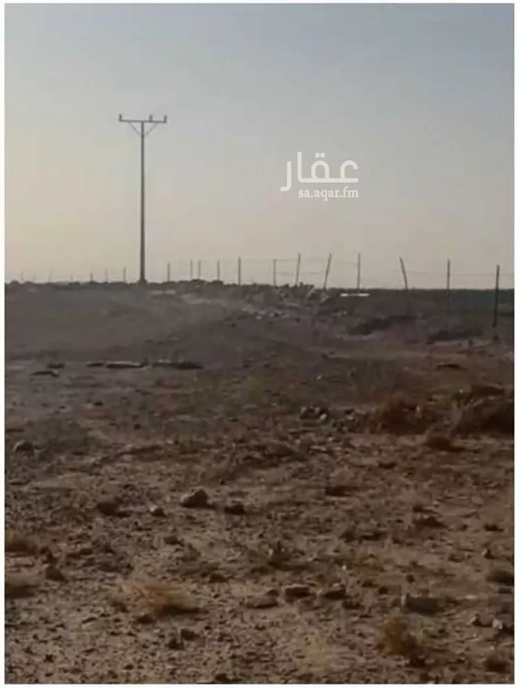 مزرعة للبيع في شارع الملك عبد العزيز, حي المربع, مدينة المربع, منطقة القصيم صورة 3