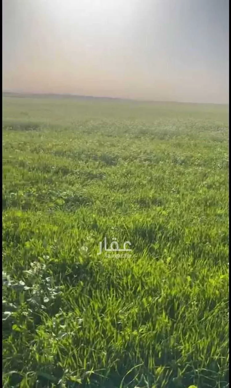 مزرعة للبيع في شارع الملك عبد العزيز, حي المربع, مدينة المربع, منطقة القصيم