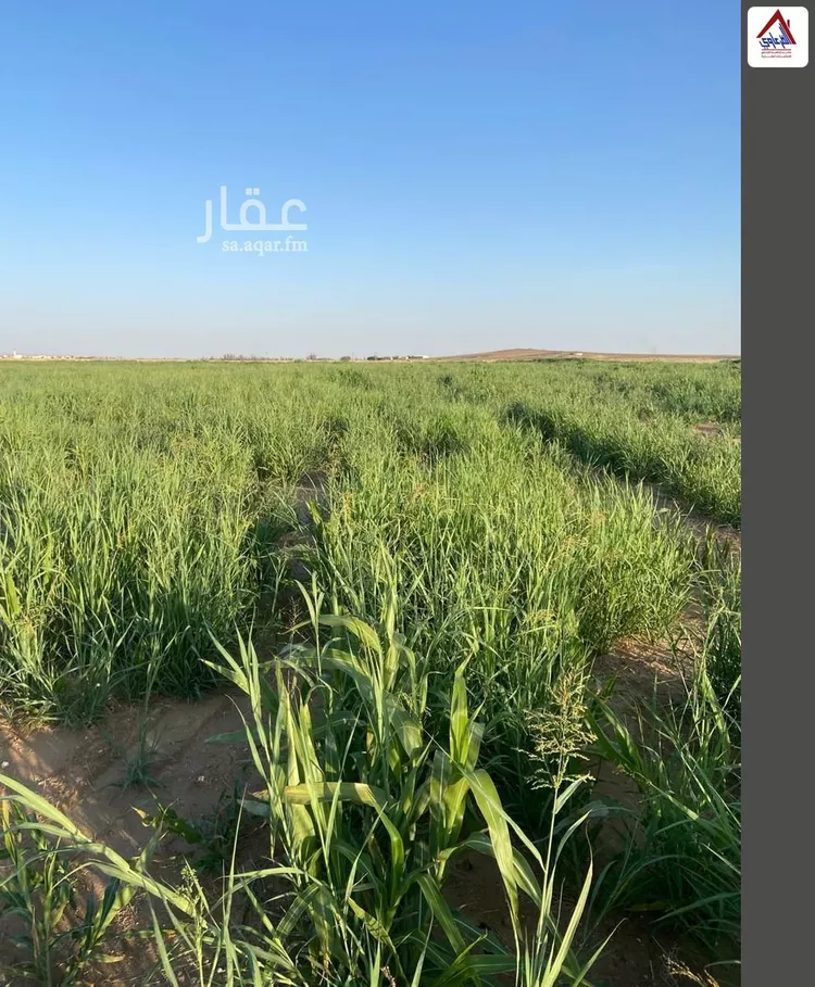 مزرعة للبيع في شارع محمد, حي الاشيعل, مدينة الاشيعل, منطقة القصيم صورة 4