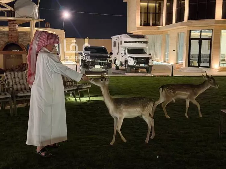 استراحة للإيجار في شارع بريده 186, حي الجراد, مدينة بريدة, منطقة القصيم 11