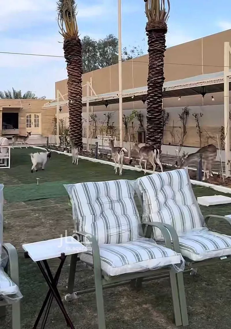 استراحة للإيجار في شارع بريده 186, حي الجراد, مدينة بريدة, منطقة القصيم 20