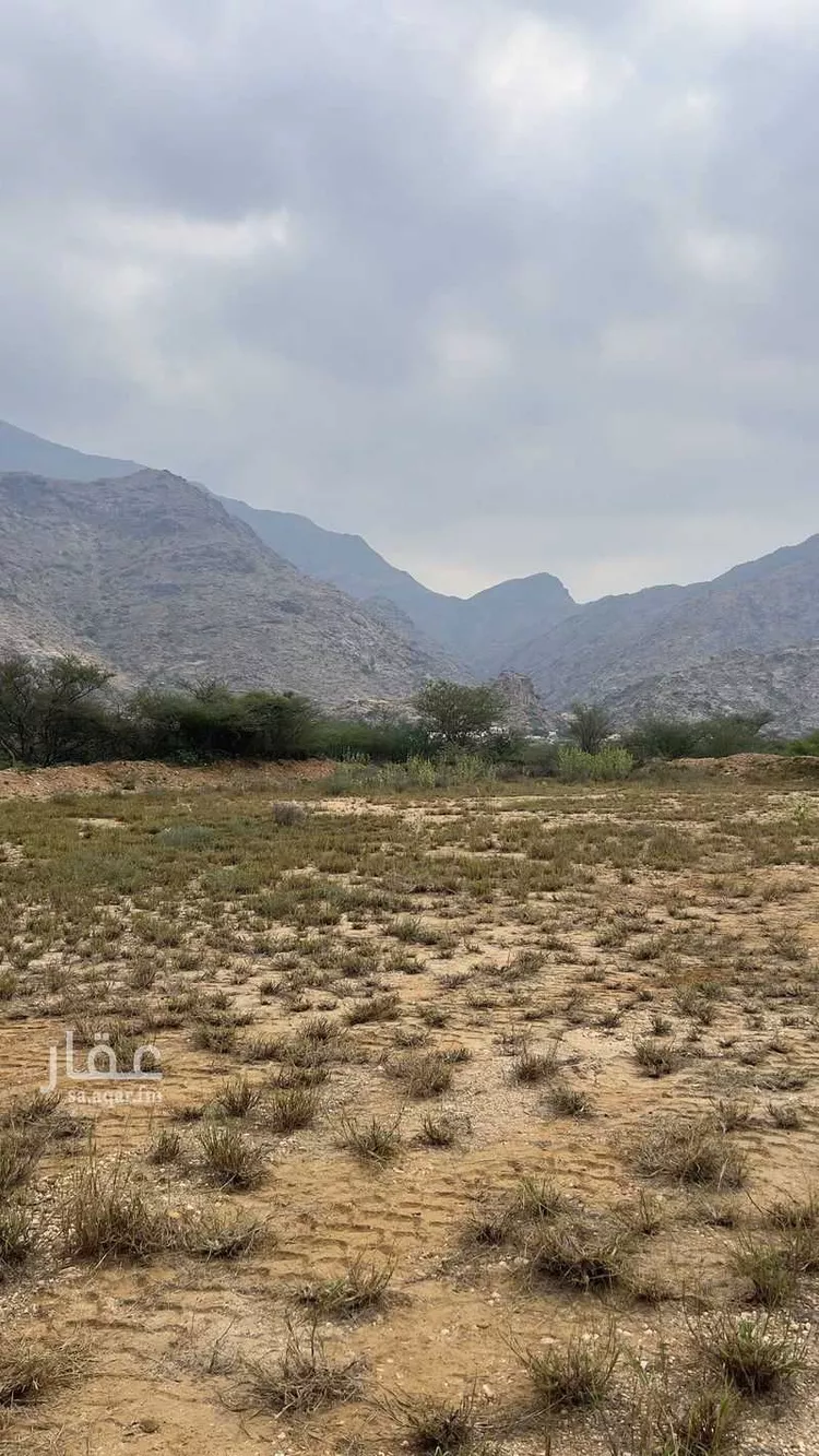 Farm for rent in Al Lith Al Kulibiah صورة 2