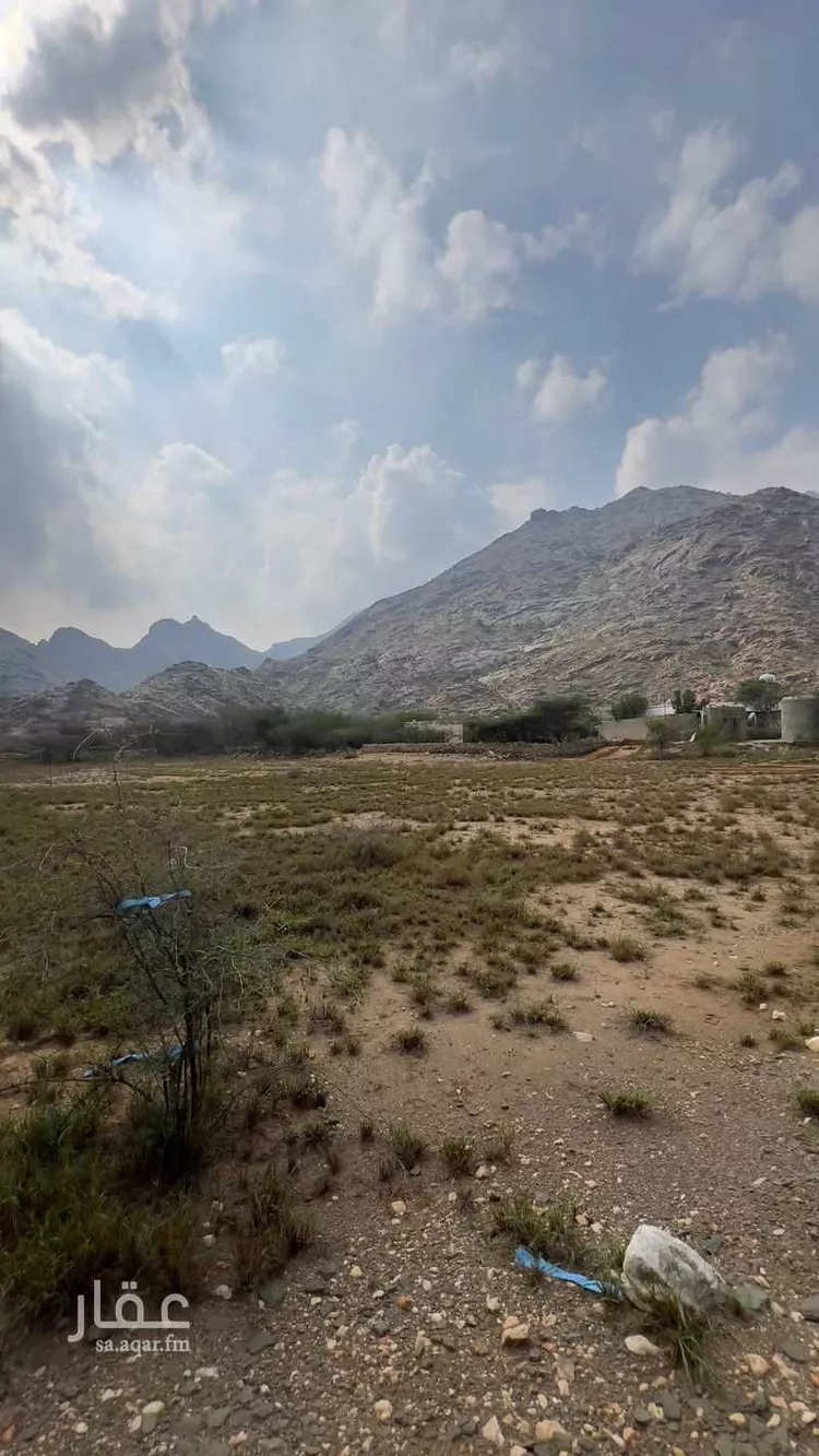Farm for rent in Al Lith Al Kulibiah صورة 3