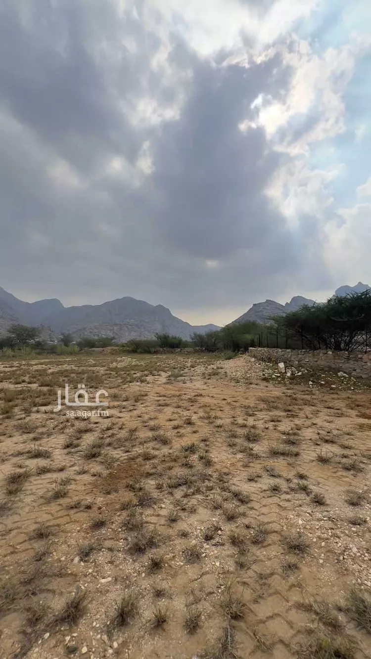 Farm for rent in Al Lith Al Kulibiah صورة 5