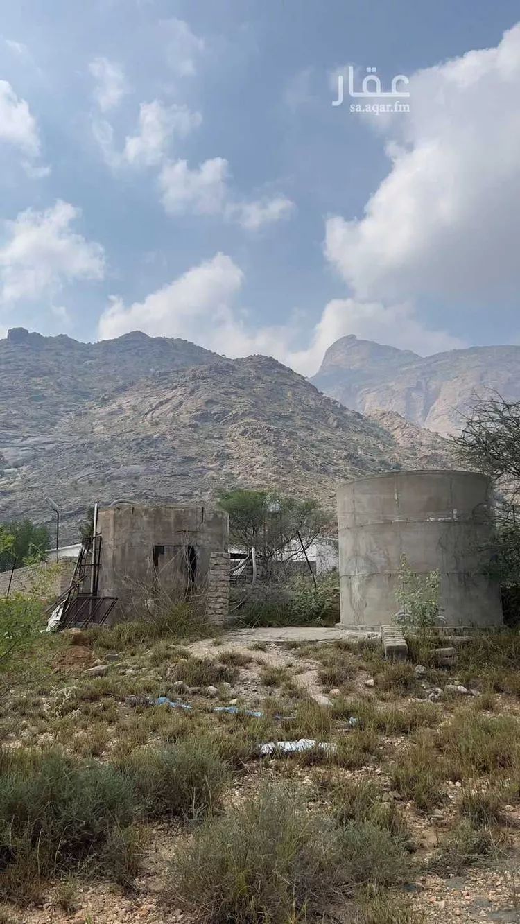 Farm for rent in Al Lith Al Kulibiah صورة 4