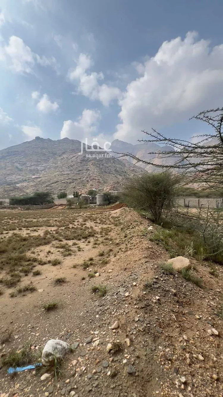 Farm for rent in Al Lith Al Kulibiah