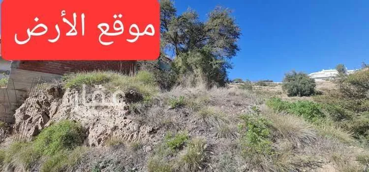 أرض للبيع في شارع غير مسمى, حي الضباب, مدينة الباحة, منطقة الباحة 6