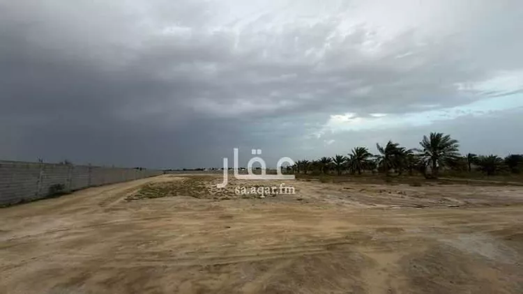 Land for Rent in Safwa Ad Duraydi صورة 4