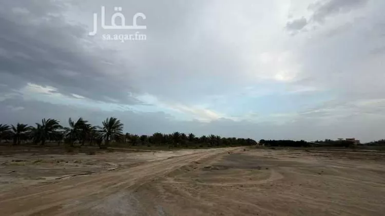 Land for Rent in Safwa Ad Duraydi صورة 2
