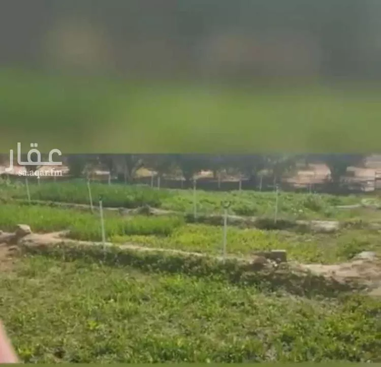 مزرعة للبيع في مدينة الخرج, منطقة الرياض 7