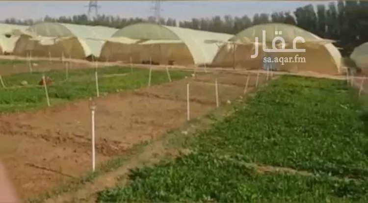 مزرعة للبيع في مدينة الخرج, منطقة الرياض 6