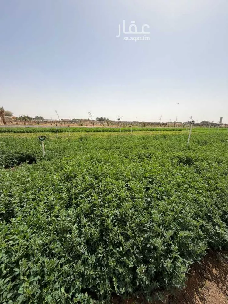 مزرعة للبيع في حي الضبيعة, مدينة الخرج, منطقة الرياض صورة 5