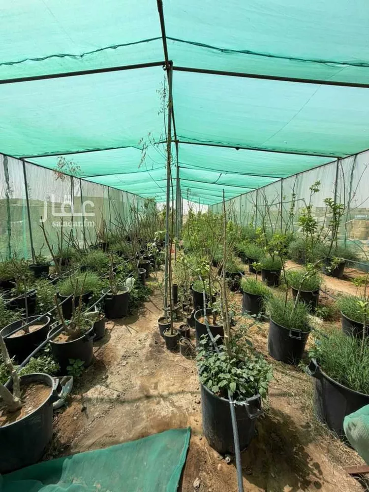 مزرعة للبيع في حي الضبيعة, مدينة الخرج, منطقة الرياض صورة 2