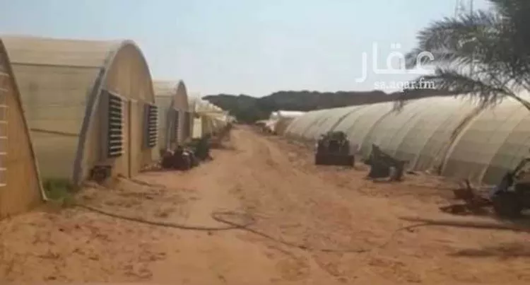 مزرعة للبيع في مدينة الخرج, منطقة الرياض صورة 5