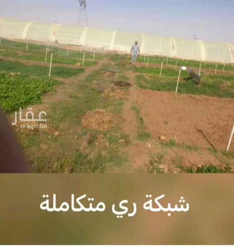 مزرعة للبيع في مدينة الخرج, منطقة الرياض 8