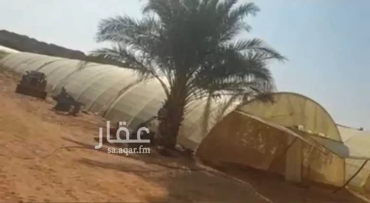 مزرعة للبيع في مدينة الخرج, منطقة الرياض صورة 4