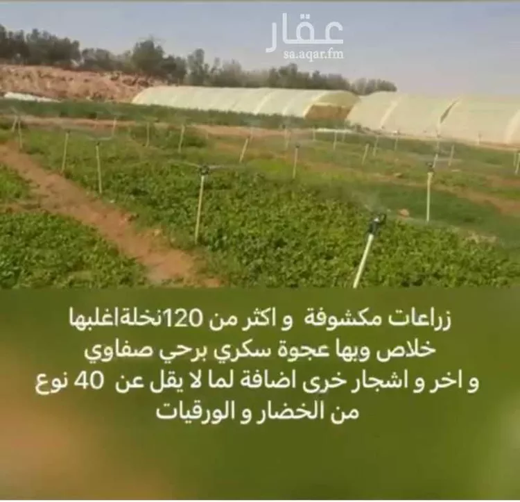 مزرعة للبيع في مدينة الخرج, منطقة الرياض صورة 2