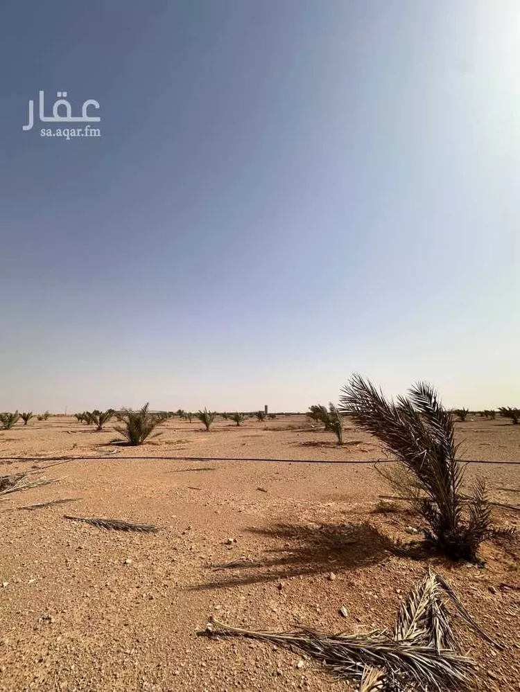 مزرعة للبيع في حي محطة بن صقر ودواجن العريفي ومزرعة الدعيلج, مدينة محطة بن صقر ودواجن العريفي ومزرعة الدعيلج 6