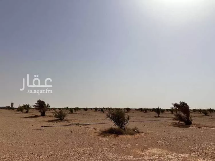 مزرعة للبيع في حي محطة بن صقر ودواجن العريفي ومزرعة الدعيلج, مدينة محطة بن صقر ودواجن العريفي ومزرعة الدعيلج 8