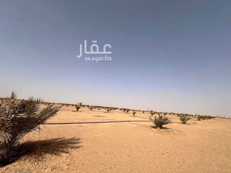 مزرعة للبيع في null صورة 4