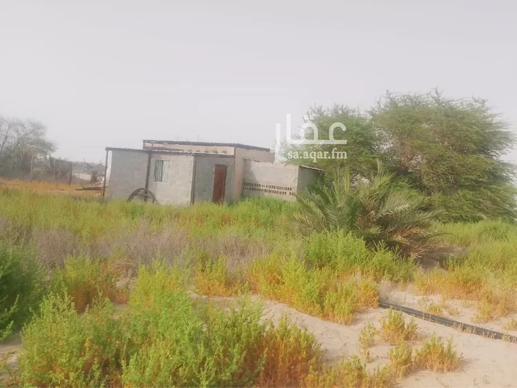 أرض للبيع في حي ثاج, مدينة ثاج, المنطقة الشرقية صورة 2