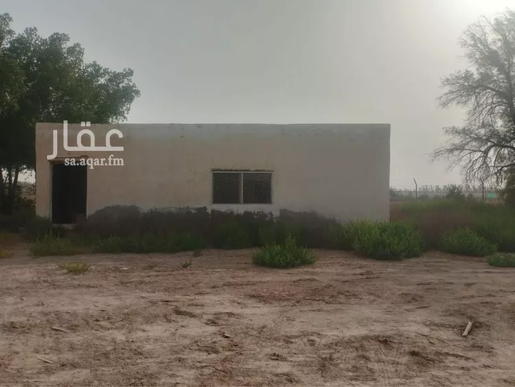 أرض للبيع في حي ثاج, مدينة ثاج, المنطقة الشرقية صورة 3