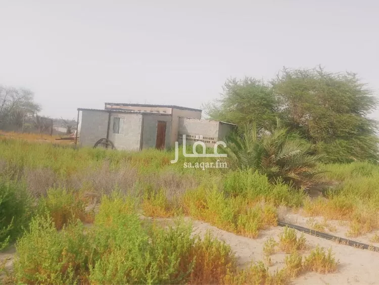 أرض للبيع في حي ثاج, مدينة ثاج, المنطقة الشرقية صورة 4