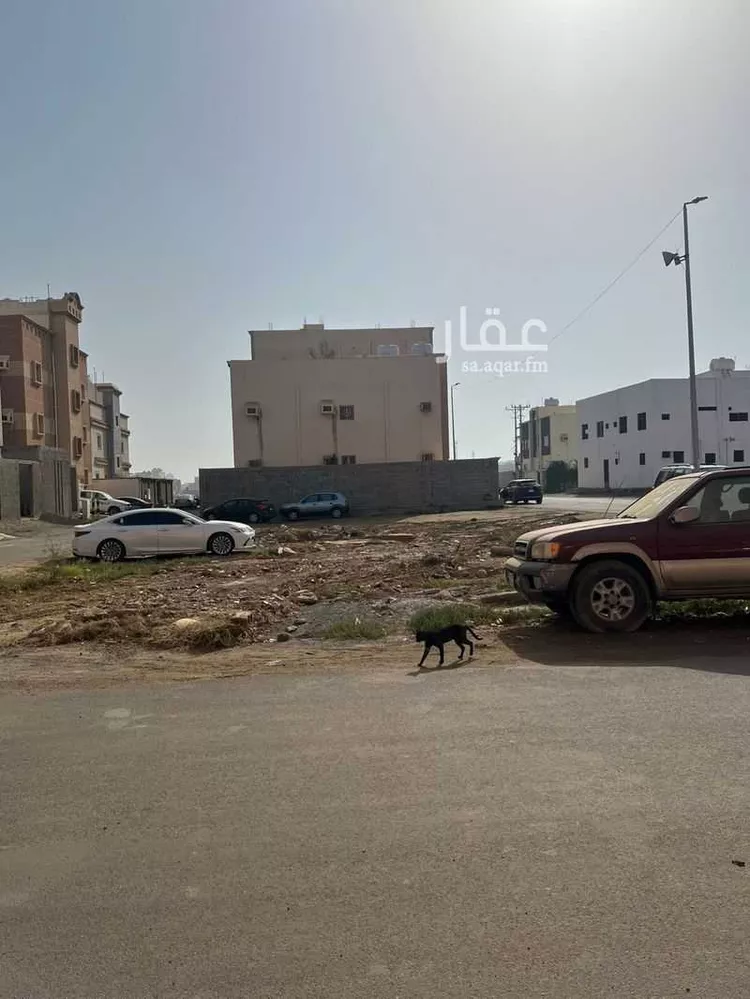 أرض للإيجار في شارع شارع  113 ج, حي الروضة, مدينة جازان, منطقة جازان صورة 4