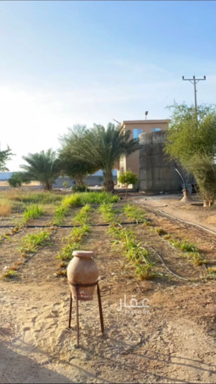 مزرعة للبيع في حي هجره الذيبيه وخضراء, مدينة هجره الذيبيه وخضراء, منطقة الرياض صورة 5