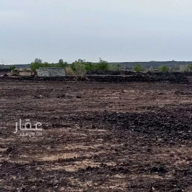 أرض للإيجار في شارع علي ابن ابي طالب ، حي ام السيوف ، المدينة المنورة ، منطقة المدينة المنورة