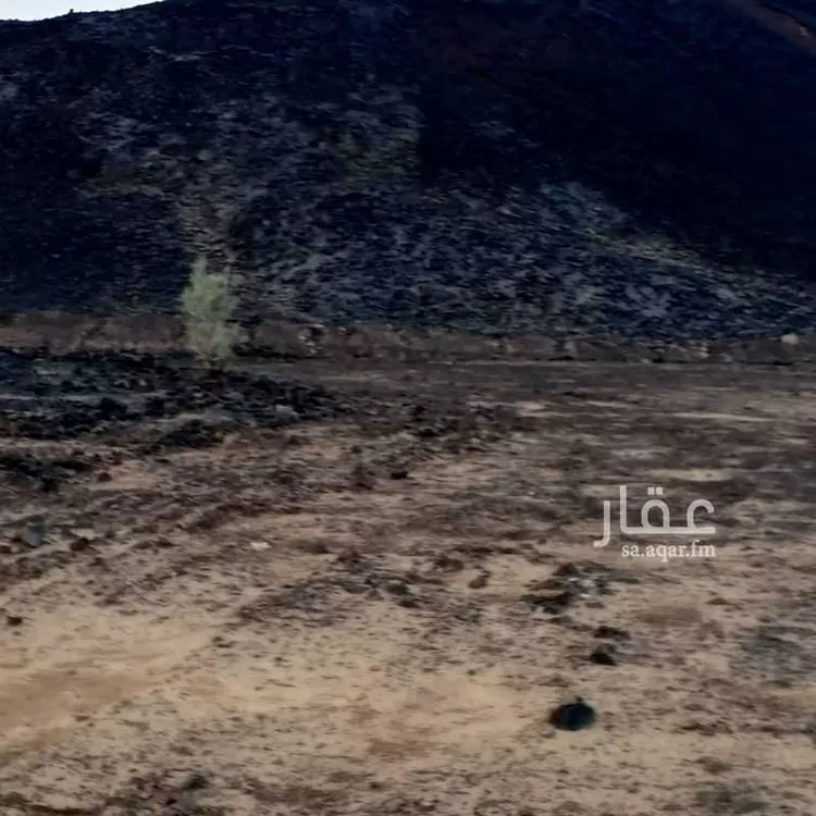 أرض للإيجار في شارع علي ابن ابي طالب ، حي ام السيوف ، المدينة المنورة ، منطقة المدينة المنورة صورة 3