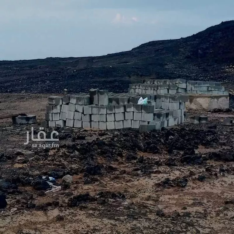 أرض للإيجار في شارع علي ابن ابي طالب ، حي ام السيوف ، المدينة المنورة ، منطقة المدينة المنورة صورة 4