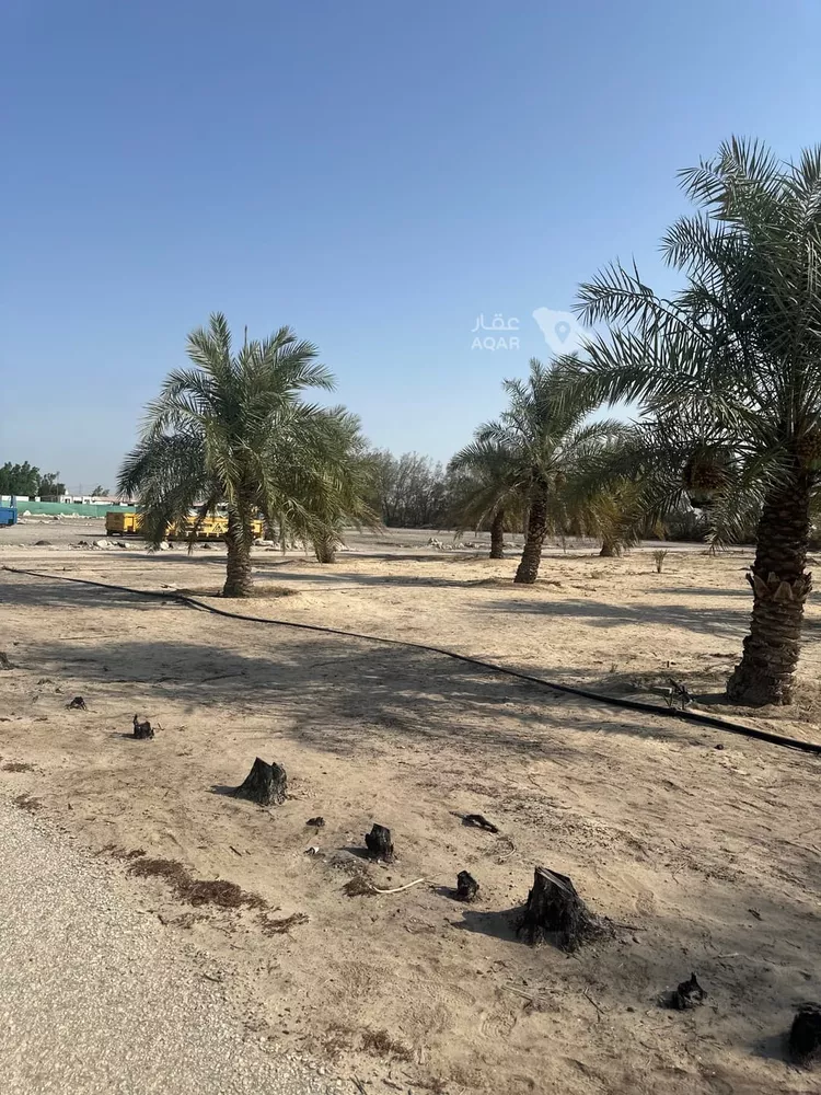 أرض للبيع في حي الفيحاء, مدينة القطيف, المنطقة الشرقية 11