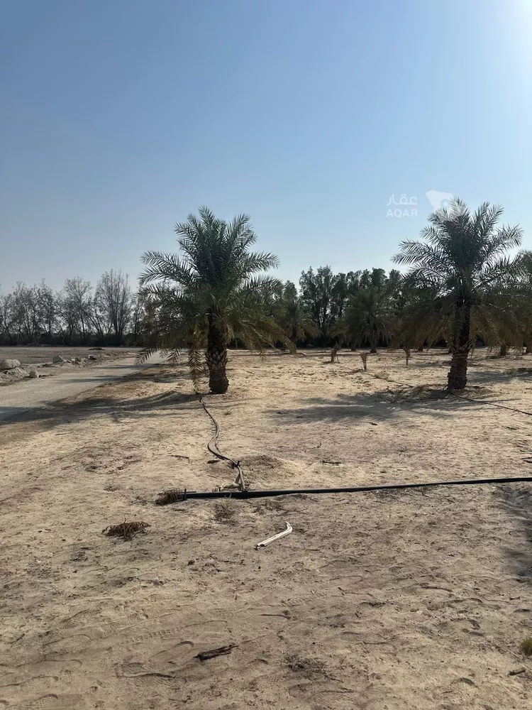 أرض للبيع في حي الفيحاء, مدينة القطيف, المنطقة الشرقية 9