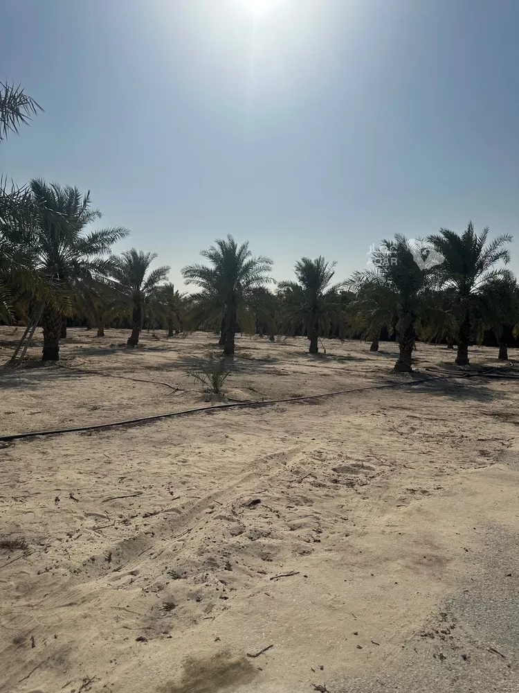 أرض للبيع في حي الفيحاء, مدينة القطيف, المنطقة الشرقية 15