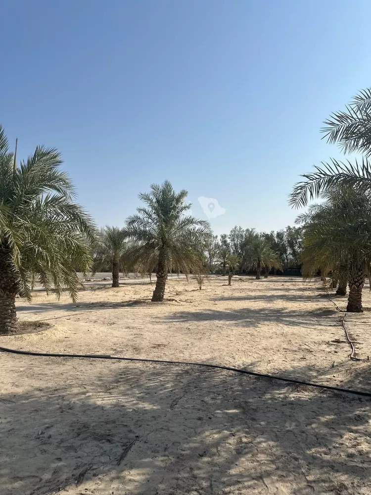 أرض للبيع في حي الفيحاء, مدينة القطيف, المنطقة الشرقية 8