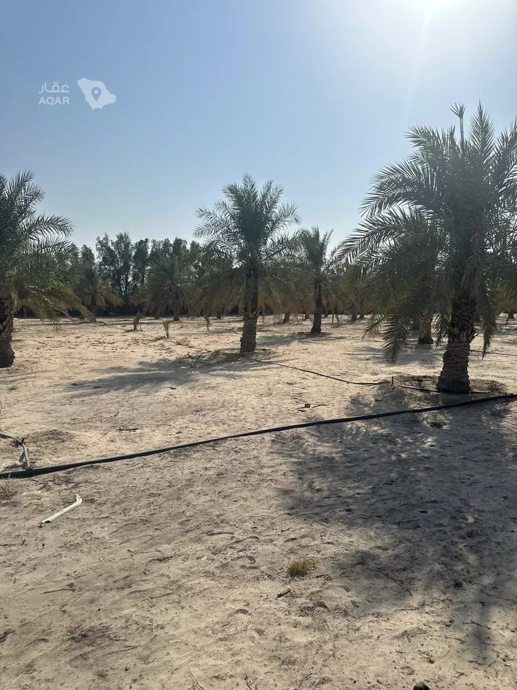أرض للبيع في حي الفيحاء, مدينة القطيف, المنطقة الشرقية 13