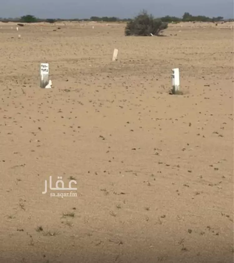 Land for Sale in Thuwal Thuwal صورة 3