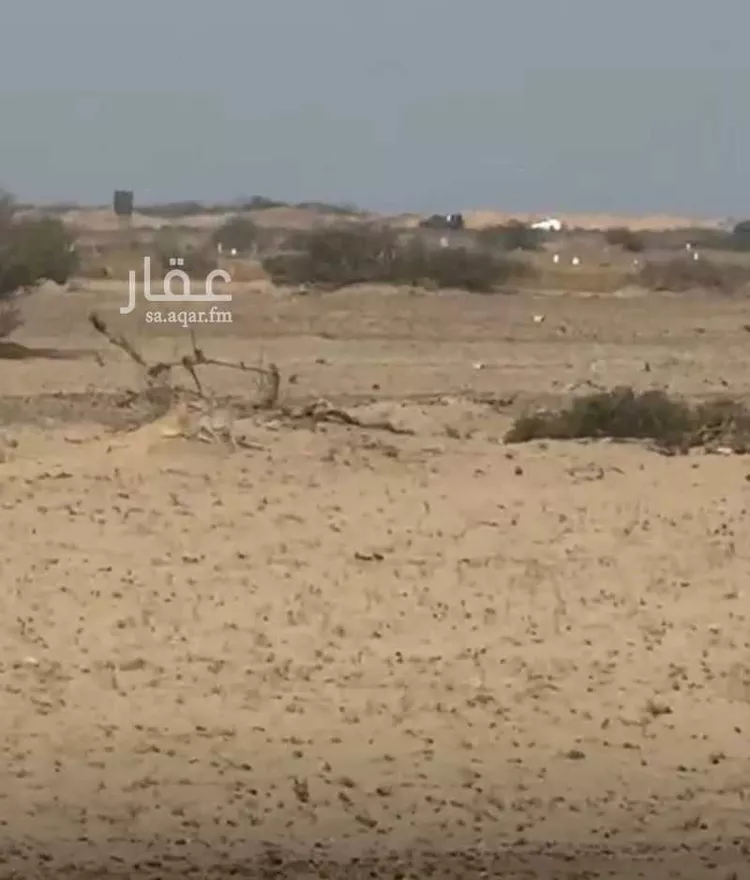 Land for Sale in Thuwal Thuwal صورة 4