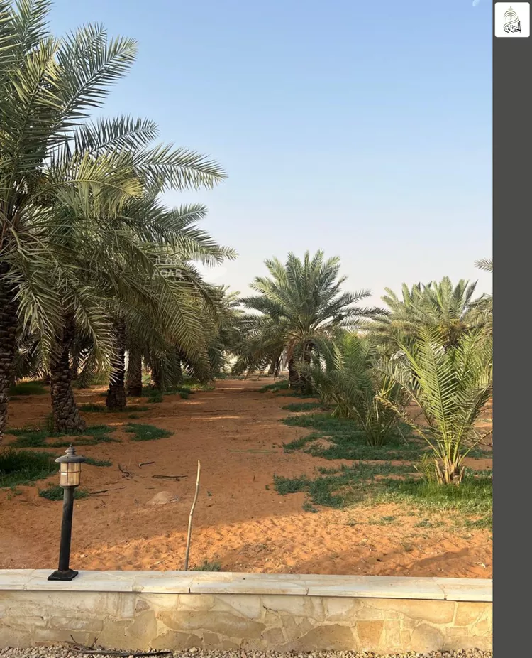استراحة للبيع في شارع جو 360, مدينة ضرما, منطقة الرياض صورة 5