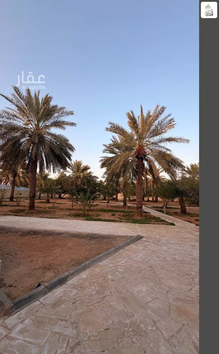 مزرعة للبيع في شارع جو 335, حي مركز السيباني (أ), مدينة السيباني, منطقة الرياض 15