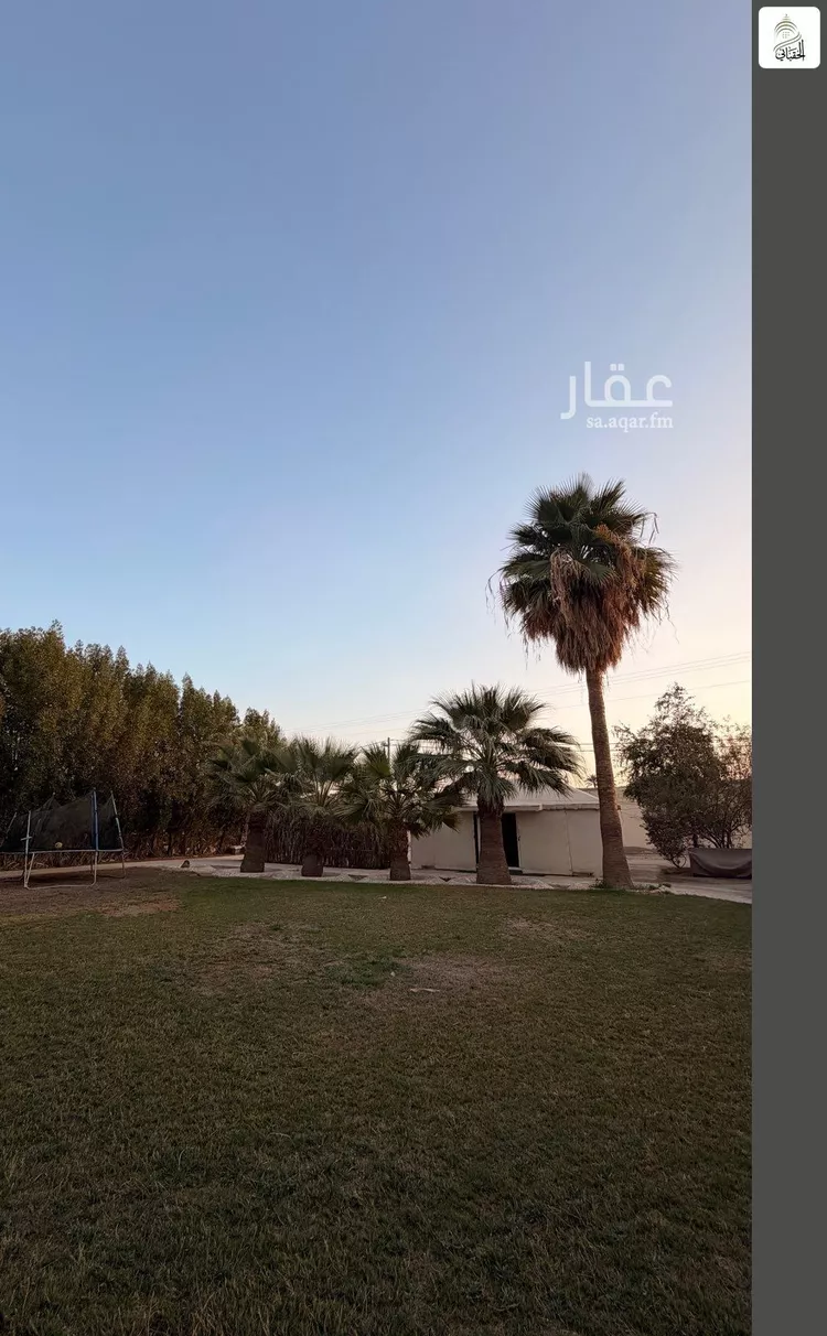 مزرعة للبيع في شارع جو 335, حي مركز السيباني (أ), مدينة السيباني, منطقة الرياض صورة 3