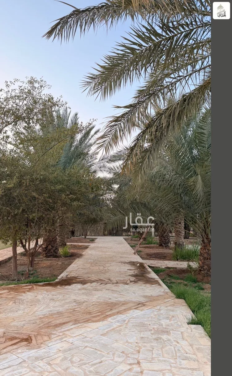 مزرعة للبيع في شارع جو 335, حي مركز السيباني (أ), مدينة السيباني, منطقة الرياض صورة 2