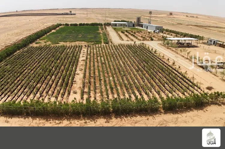 مزرعة للبيع في حي هجره النطاش والتراحيب, مدينة هجره النطاش والتراحيب, منطقة الرياض صورة 2