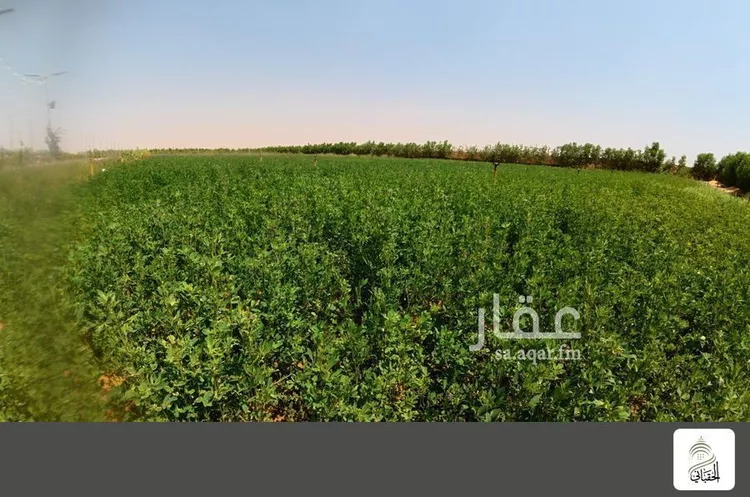 مزرعة للبيع في حي هجره النطاش والتراحيب, مدينة هجره النطاش والتراحيب, منطقة الرياض 6