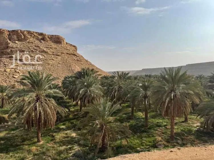 مزرعة للبيع في حي عريض, مدينة الرياض, منطقة الرياض